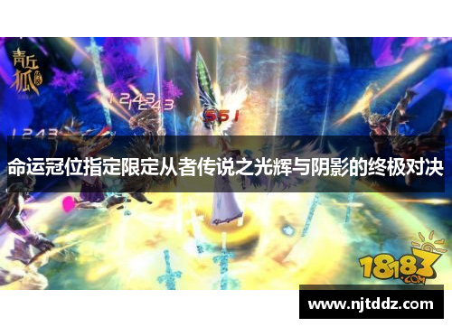 命运冠位指定限定从者传说之光辉与阴影的终极对决
